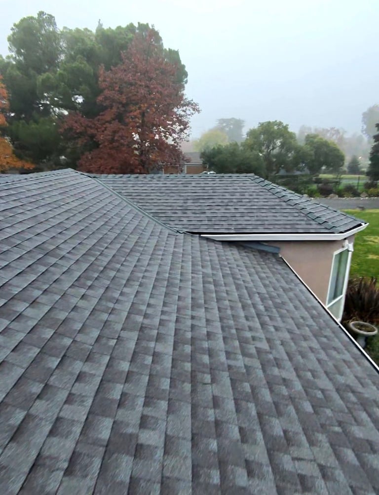 Aerial view of a residential roofline with gray asphalt shingles, autumn trees in background during overcast weather