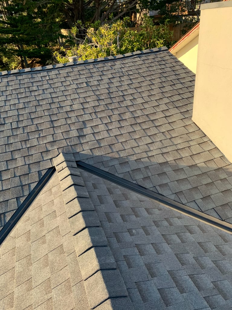 Gray asphalt shingle roof with two black metal gutters running diagonally, adjacent to a cream-colored wall, with trees visible in background