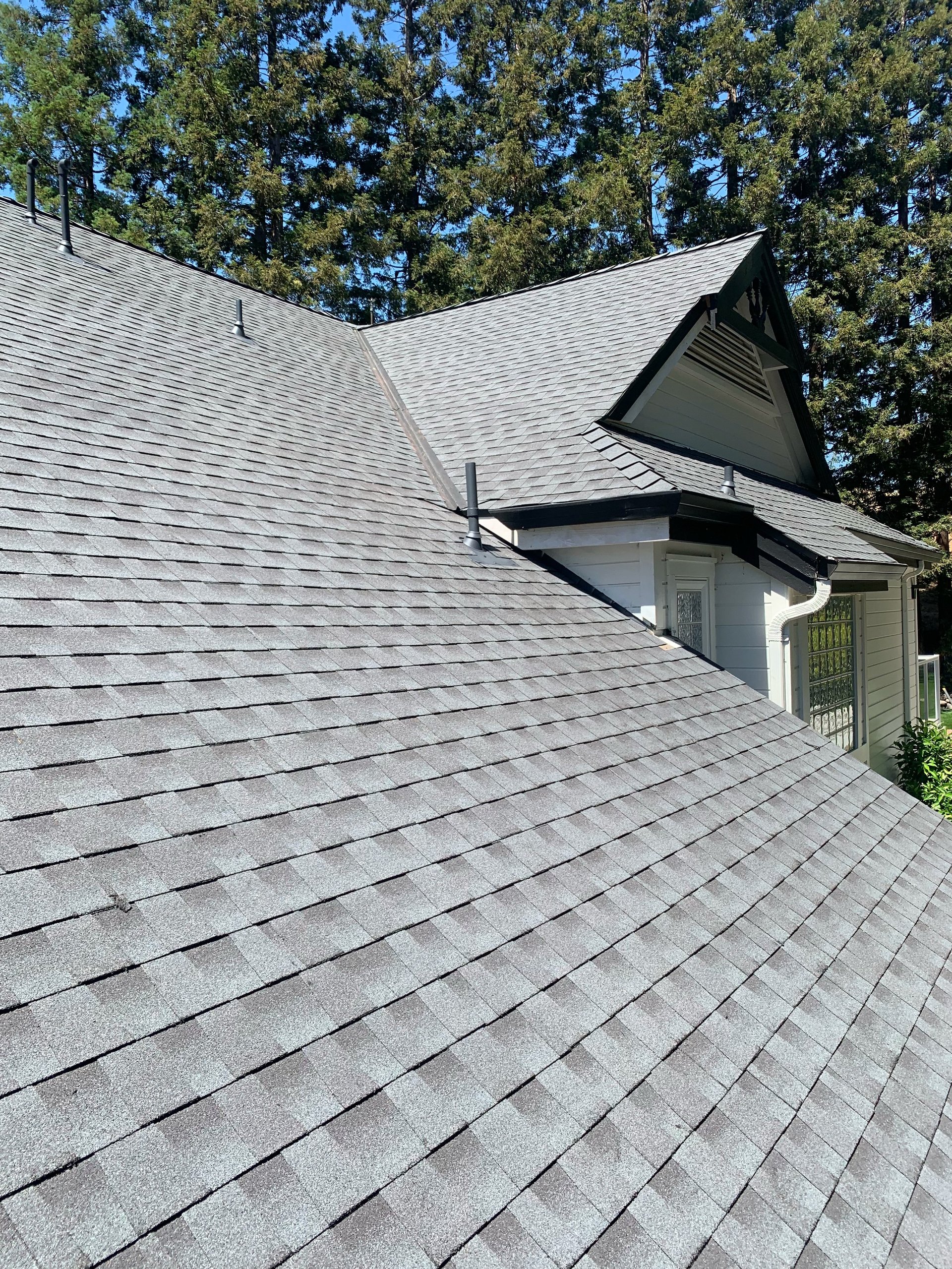 Residential roof with gray asphalt shingles, dormer window, and tall trees