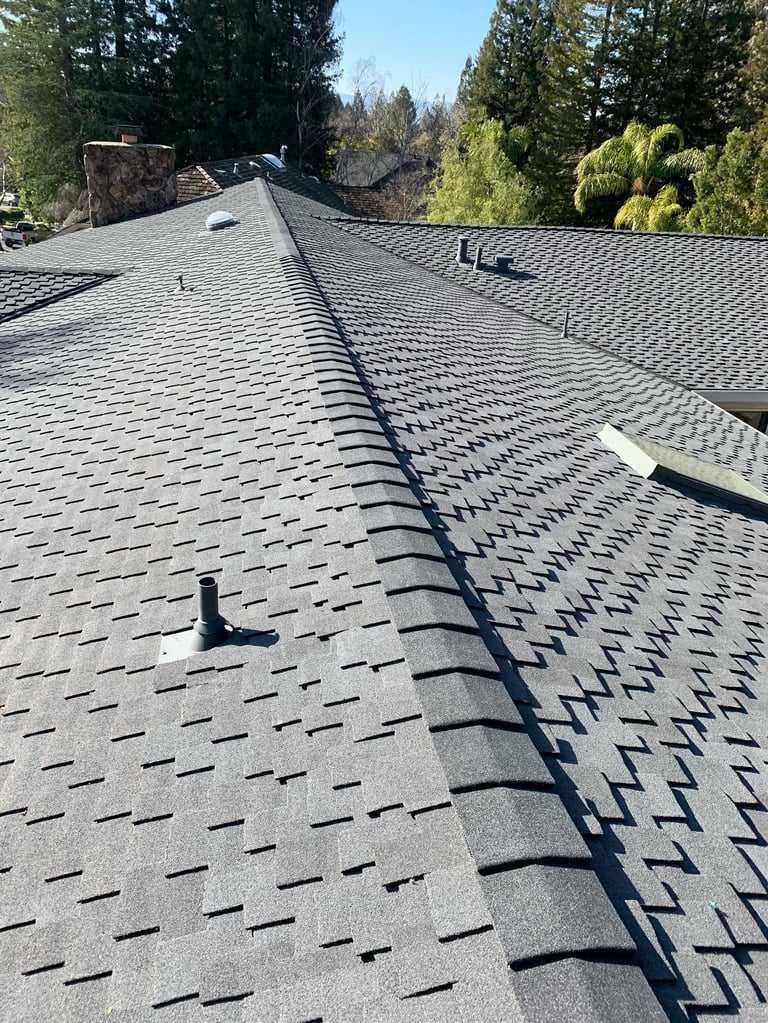 Residential roof with gray asphalt shingles and roof vents, surrounded by evergreen trees on a clear day